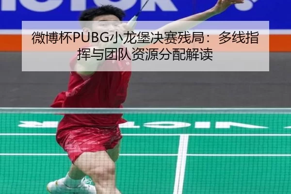 wei-bo-bei-xiao-long-bao-jue-sai-can-ju-duo-xian-zhi-hui-yu-tuan-dui-zi-yuan-fen-pei-jie-du-2-267.jpg